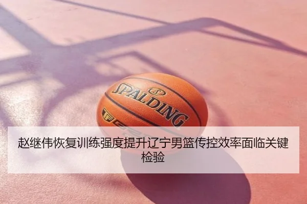 赵继伟恢复训练强度提升辽宁男篮传控效率面临关键检验